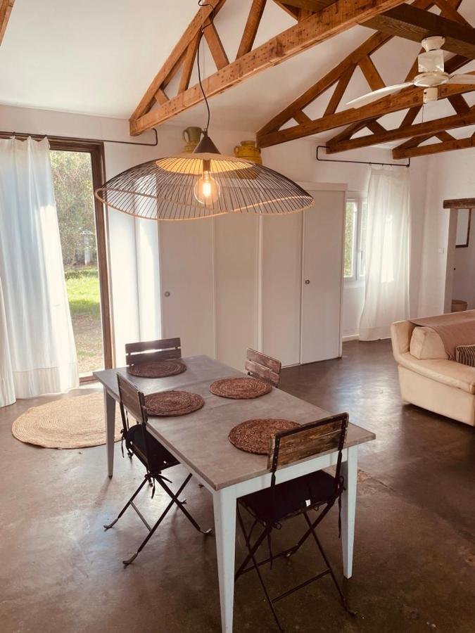 Casa Cote Sud - Mas Bois Fontaine Villa Nîmes Dış mekan fotoğraf